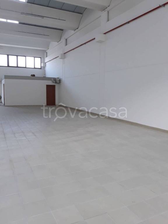 immagine annuncio 1 di 6