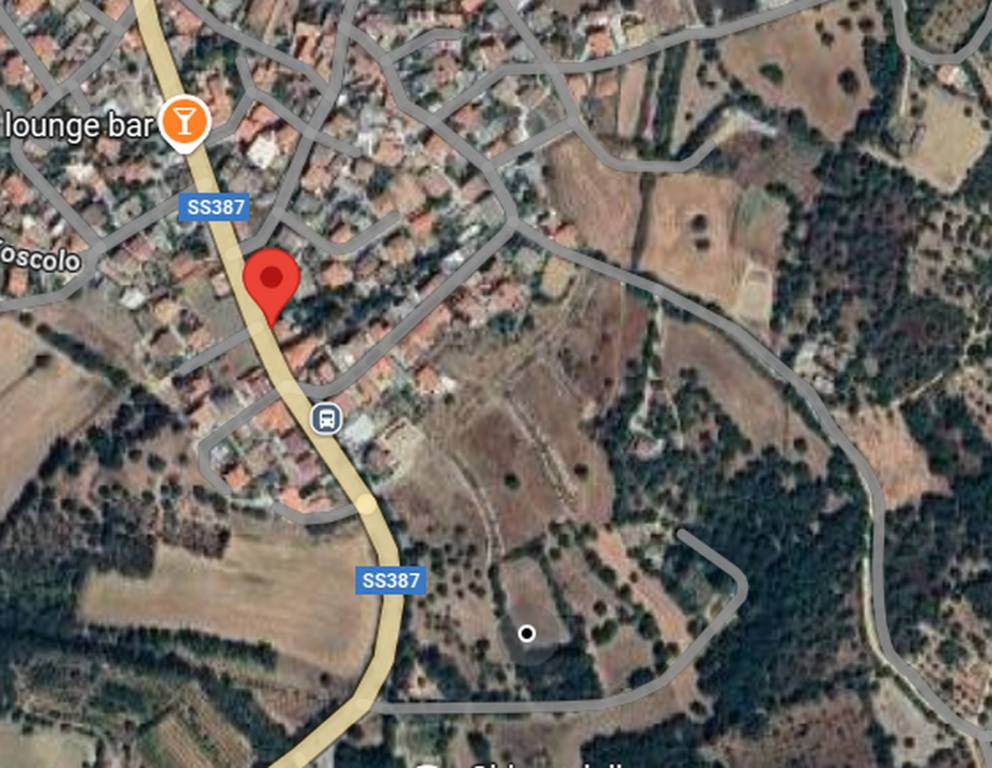 immagine annuncio 2 di 14