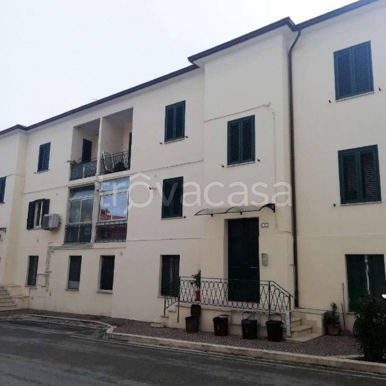 immagine annuncio 11 di 12