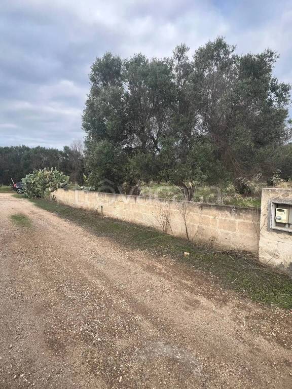 immagine annuncio 5 di 9