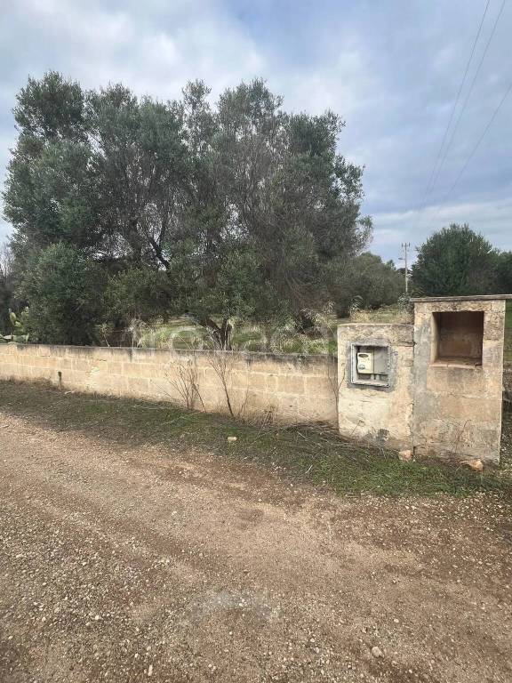 immagine annuncio 6 di 9