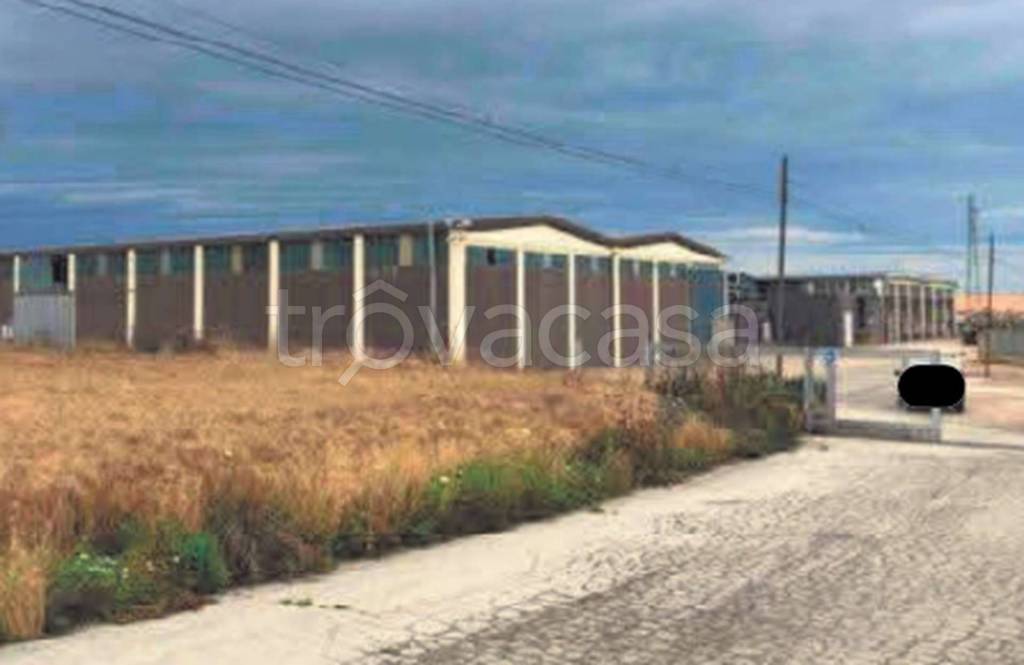 immagine annuncio 5 di 11