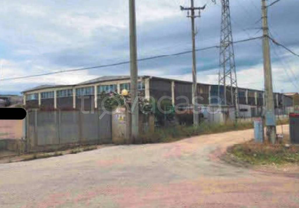 immagine annuncio 8 di 11