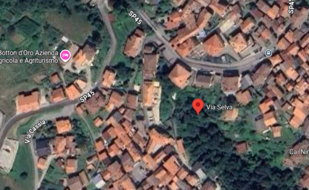 immagine annuncio 9 di 12