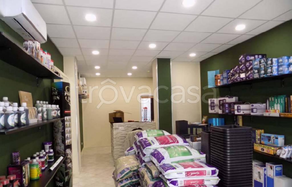 immagine annuncio 5 di 13