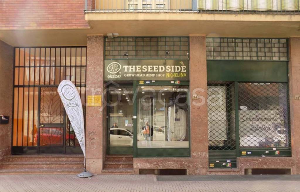 immagine annuncio 6 di 13