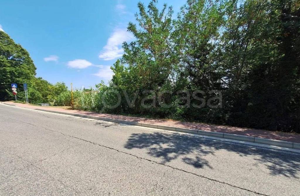 immagine annuncio 7 di 11