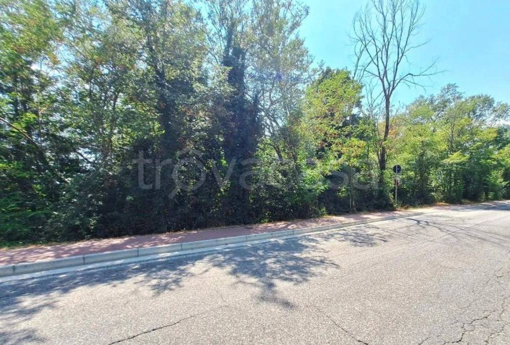 immagine annuncio 10 di 11