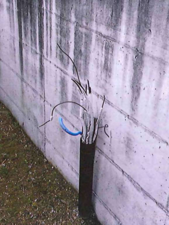 immagine annuncio 9 di 14