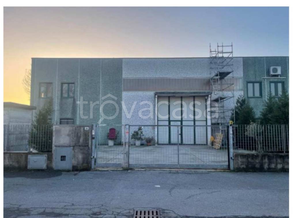 immagine annuncio 2 di 14