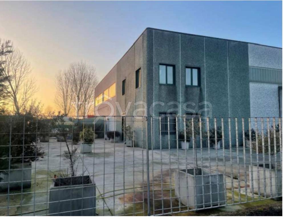 immagine annuncio 3 di 14