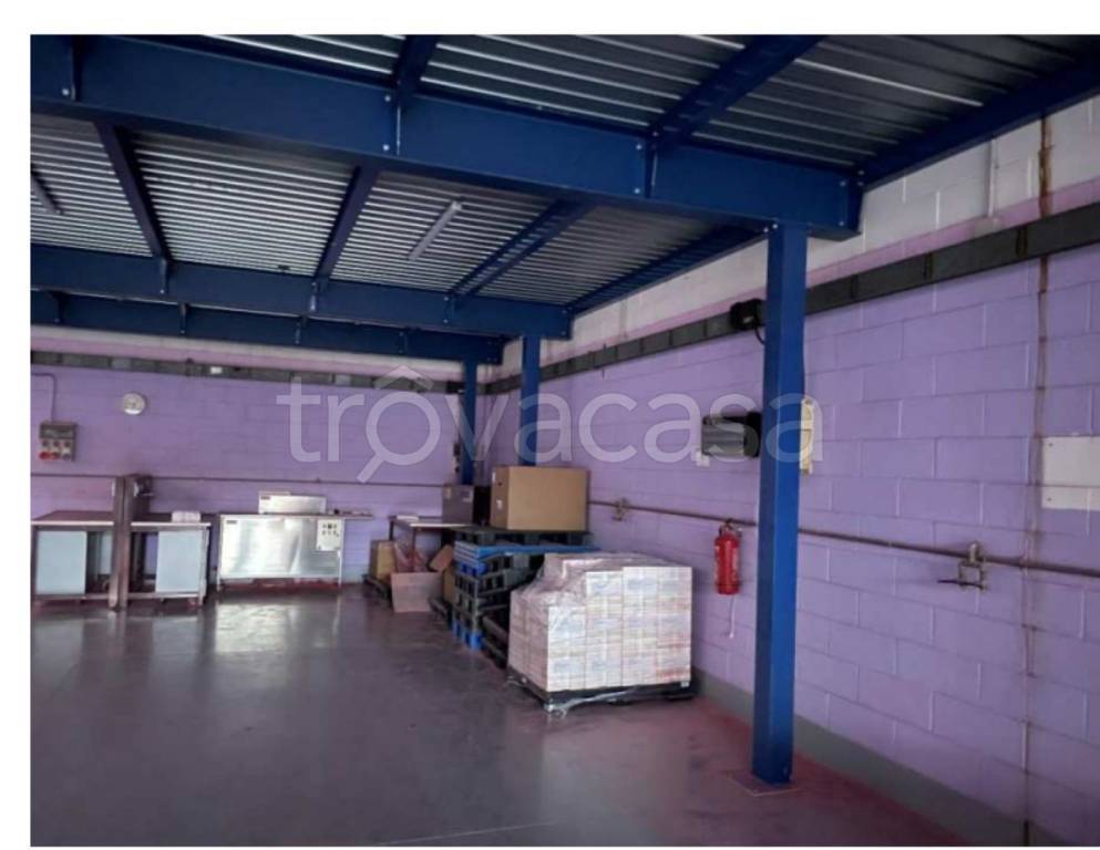 immagine annuncio 4 di 14