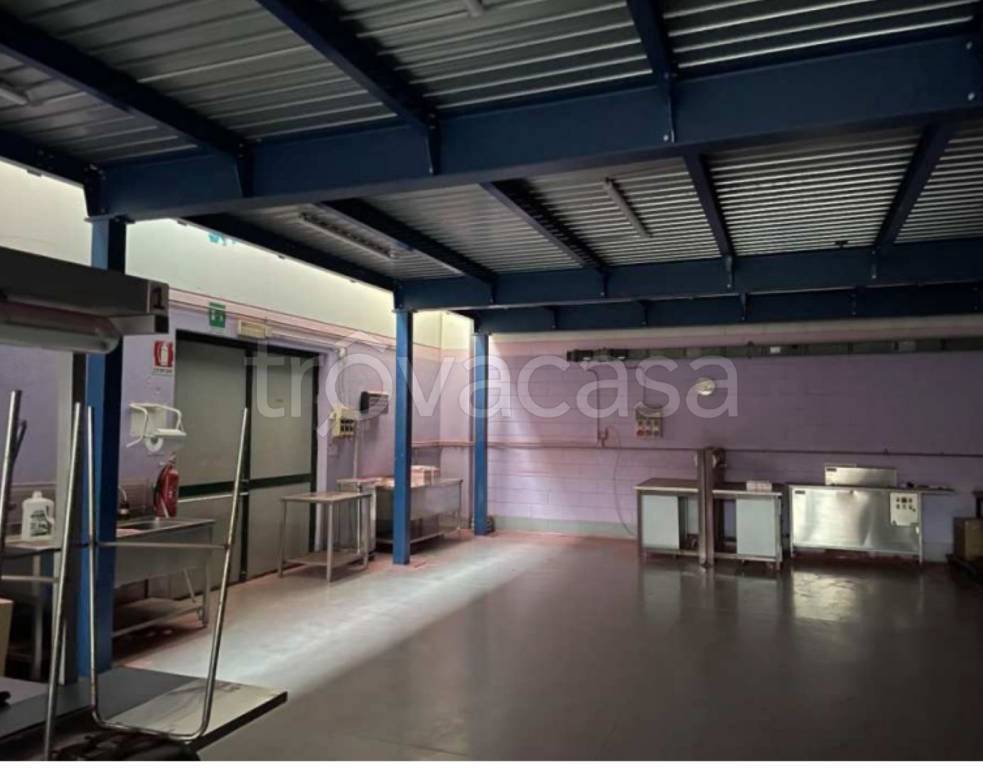 immagine annuncio 5 di 14