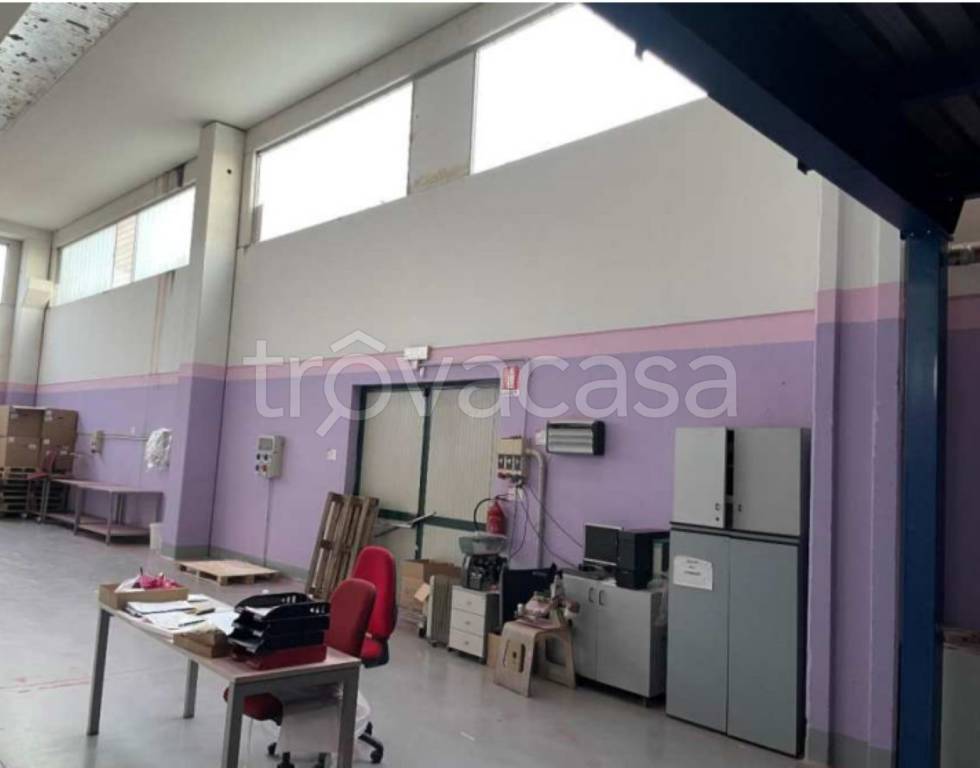 immagine annuncio 6 di 14