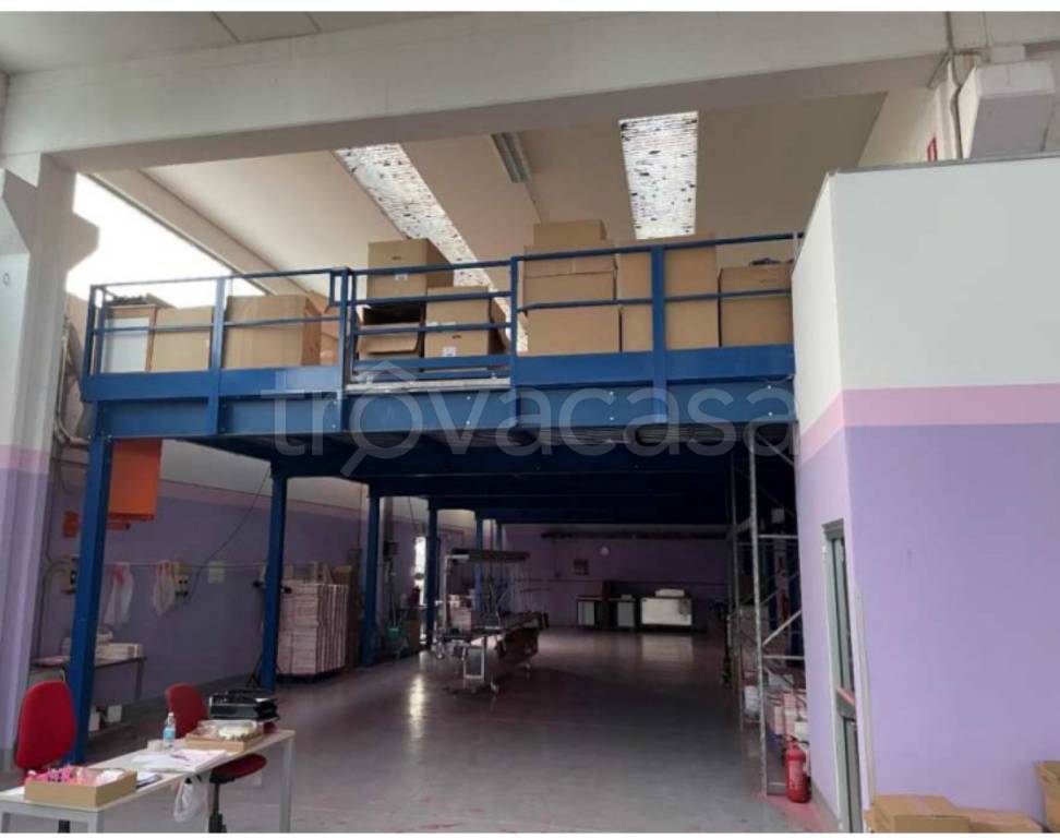 immagine annuncio 8 di 14