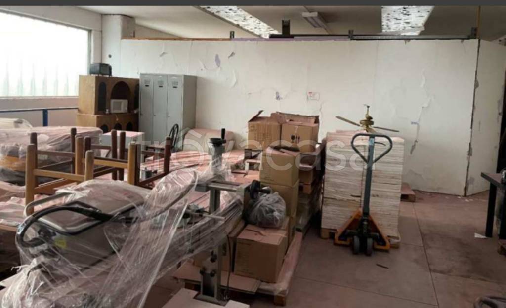 immagine annuncio 11 di 14