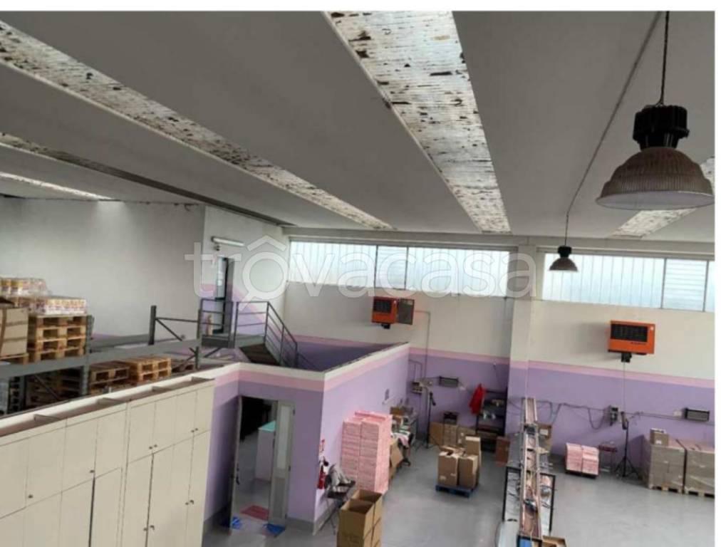 immagine annuncio 12 di 14