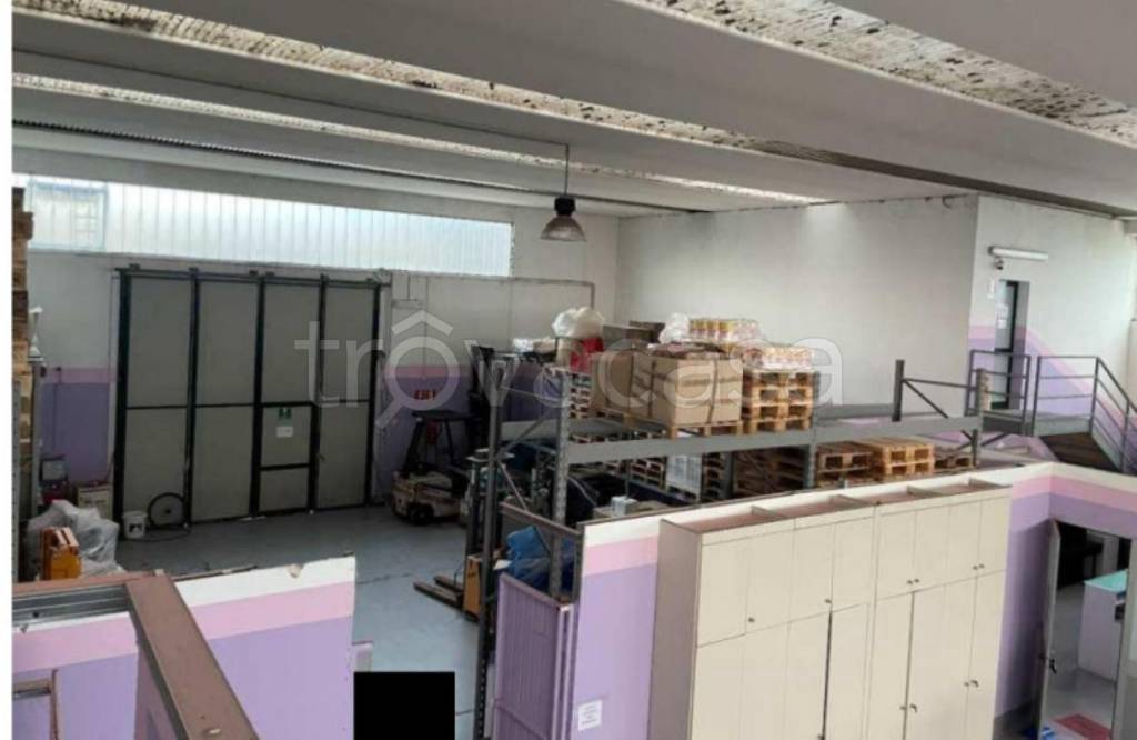 immagine annuncio 13 di 14