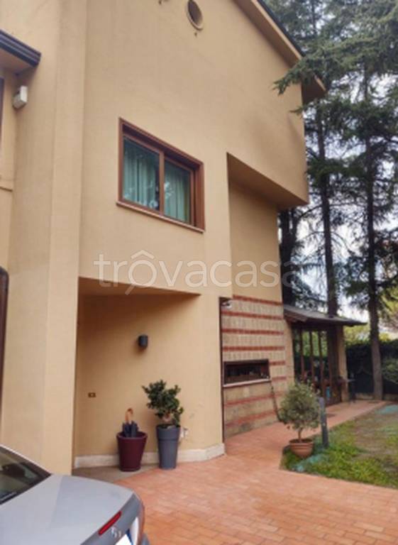 immagine annuncio 11 di 12