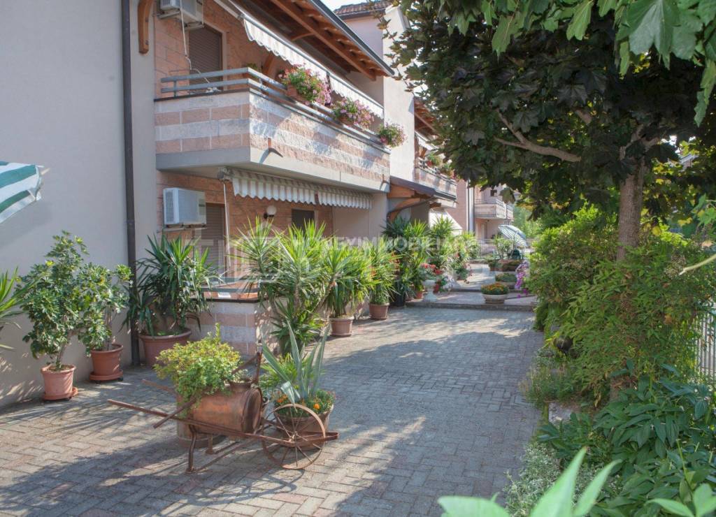 immagine annuncio 2 di 15