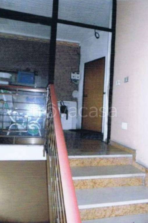 immagine annuncio 6 di 14