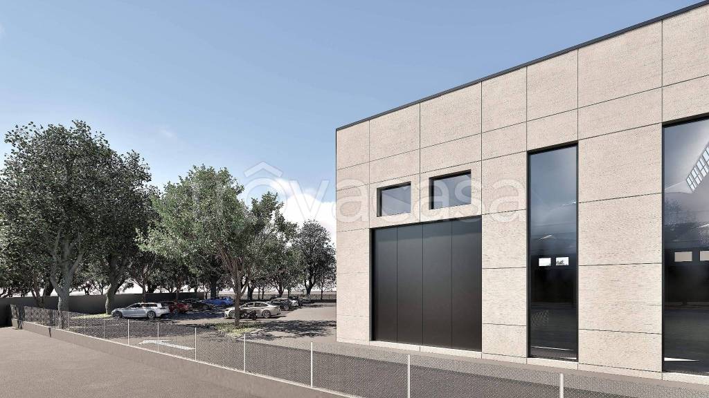 immagine annuncio 5 di 15