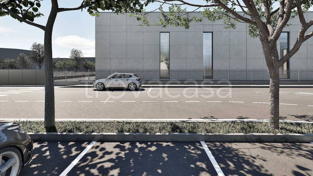 immagine annuncio 9 di 15