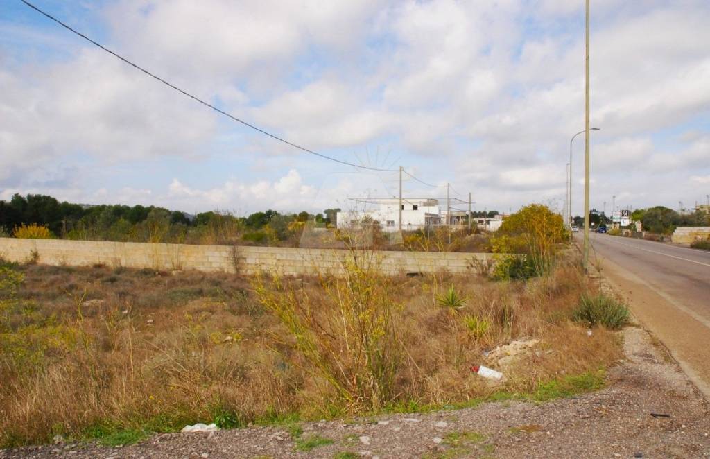 immagine annuncio 7 di 11