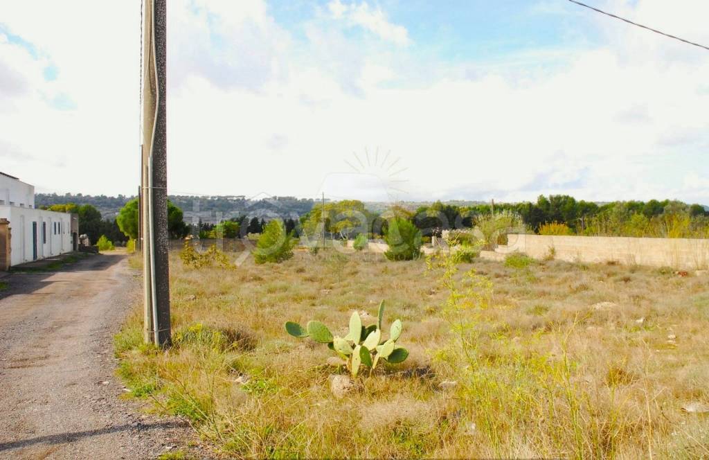 immagine annuncio 3 di 11