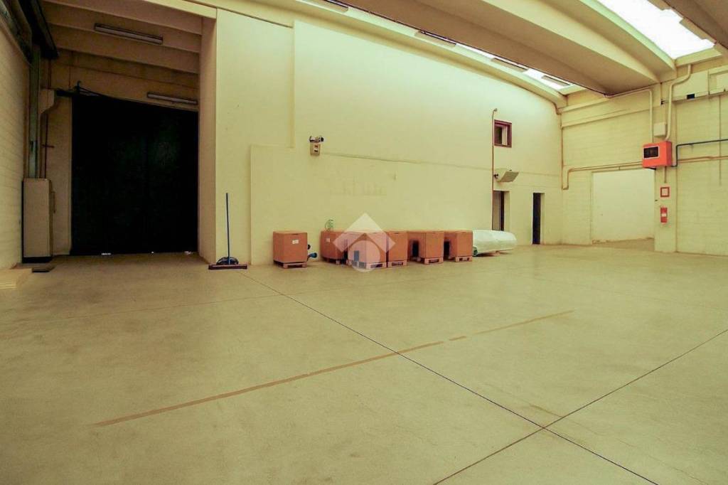 immagine annuncio 5 di 9