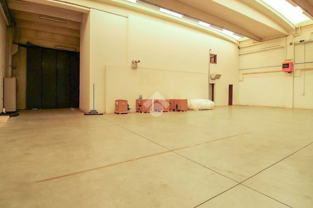 immagine annuncio 3 di 9