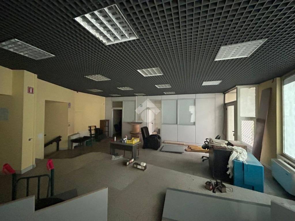 immagine annuncio 2 di 13