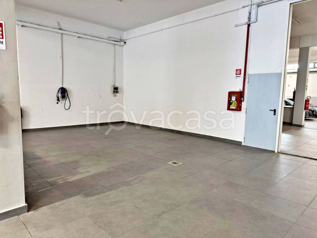 immagine annuncio 9 di 13