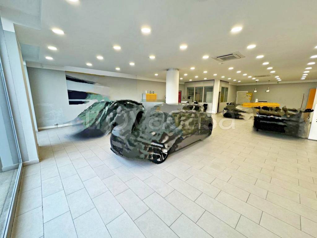 immagine annuncio 2 di 12