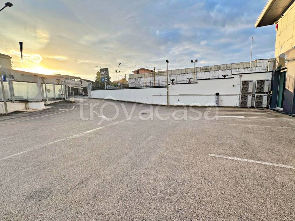 immagine annuncio 4 di 12