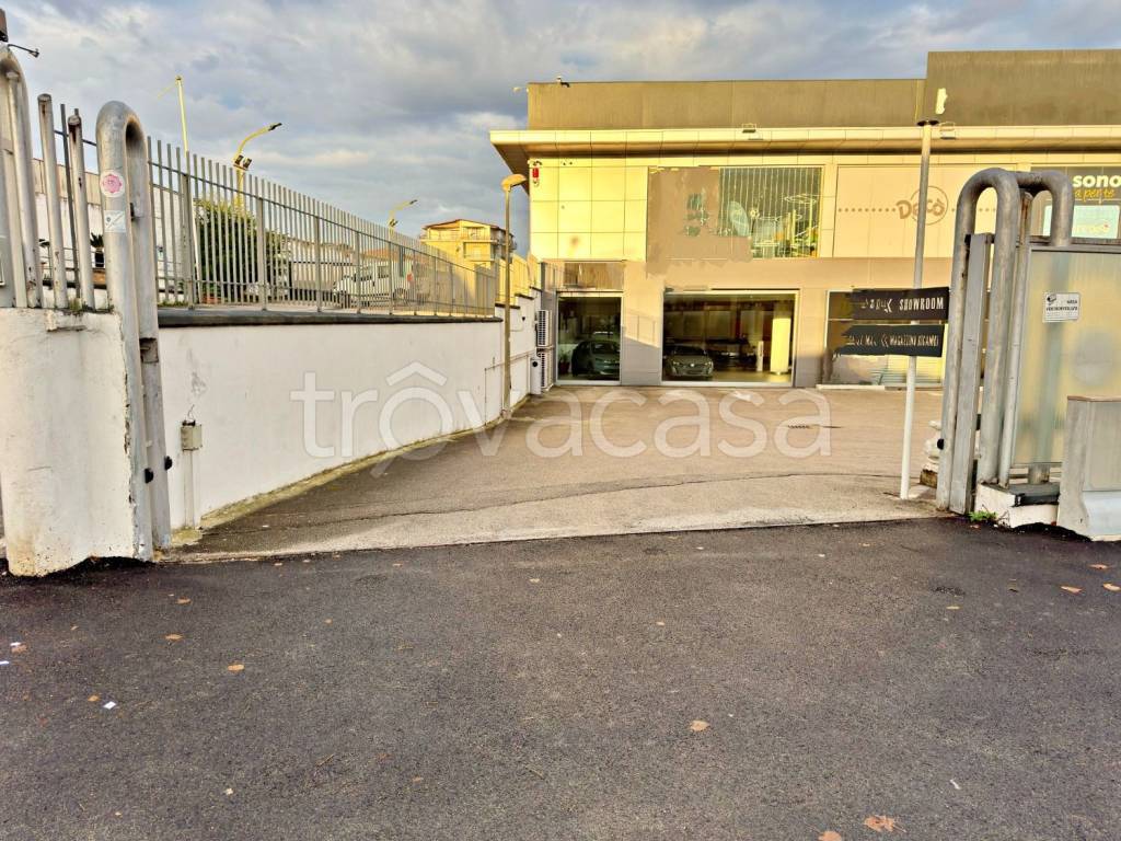 immagine annuncio 5 di 12