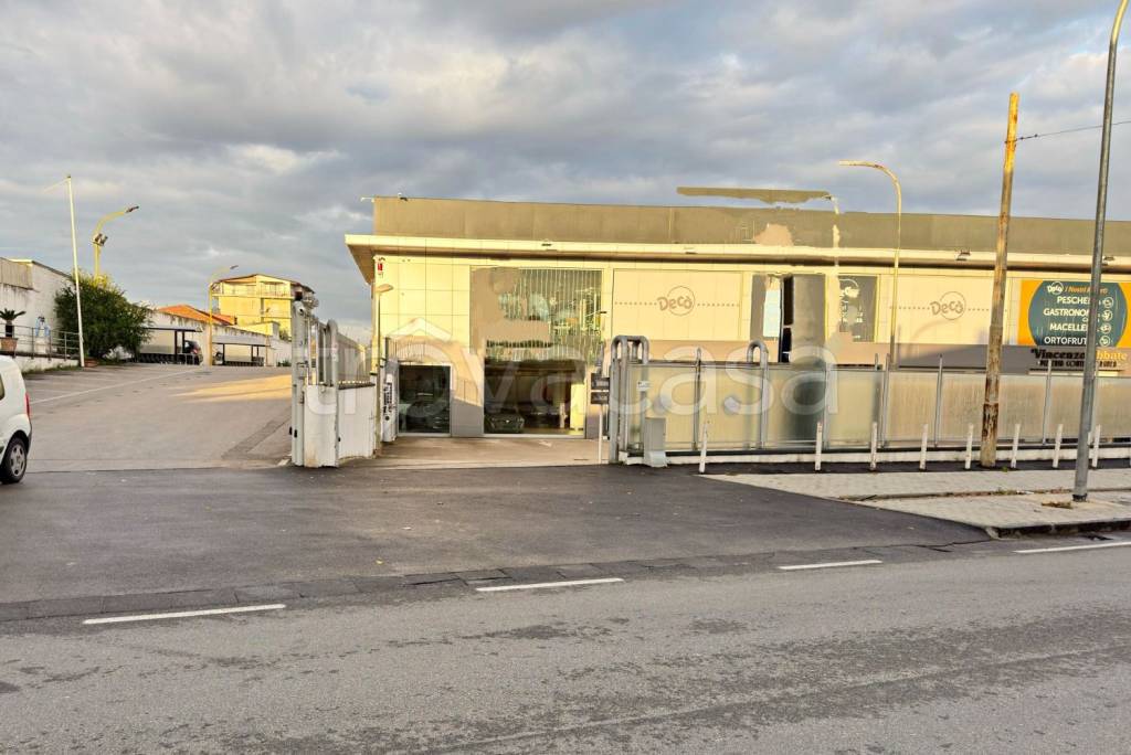 immagine annuncio 6 di 12