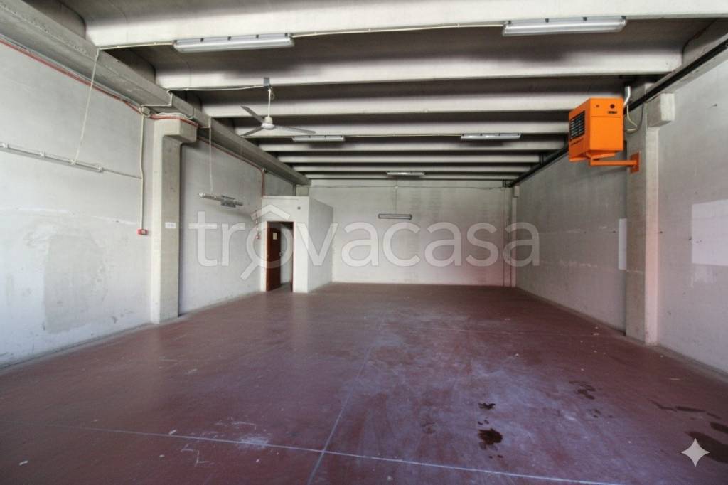 immagine annuncio 9 di 12