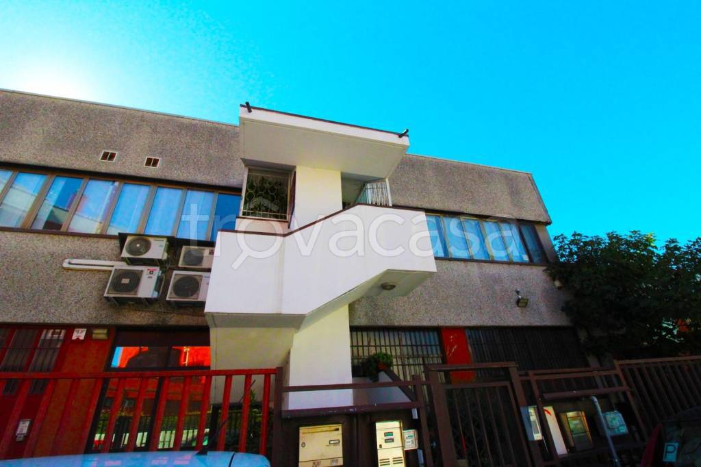 immagine annuncio 11 di 12