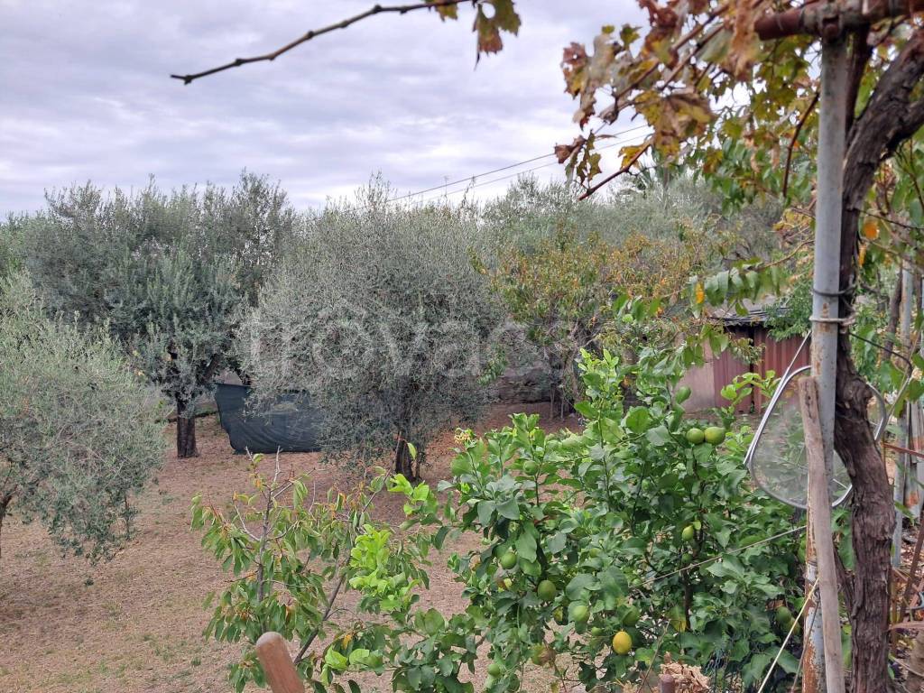 immagine annuncio 3 di 9