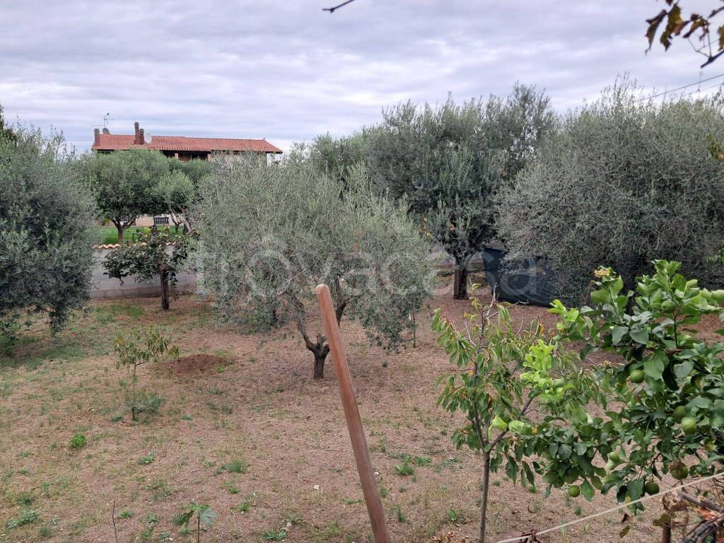 immagine annuncio 4 di 9