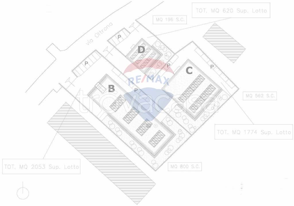 immagine annuncio 7 di 8