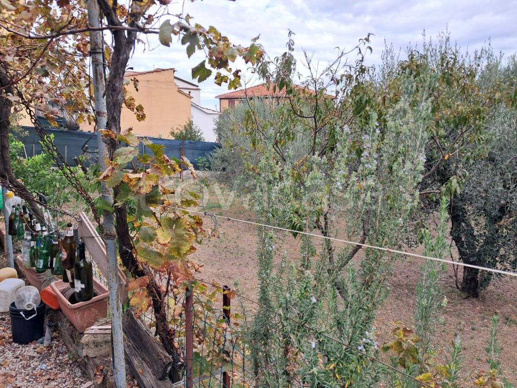 immagine annuncio 8 di 9