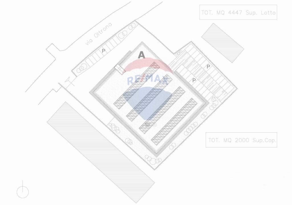 immagine annuncio 5 di 7