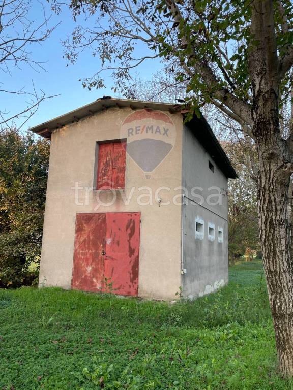 immagine annuncio 9 di 11