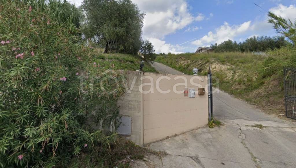 immagine annuncio 5 di 11