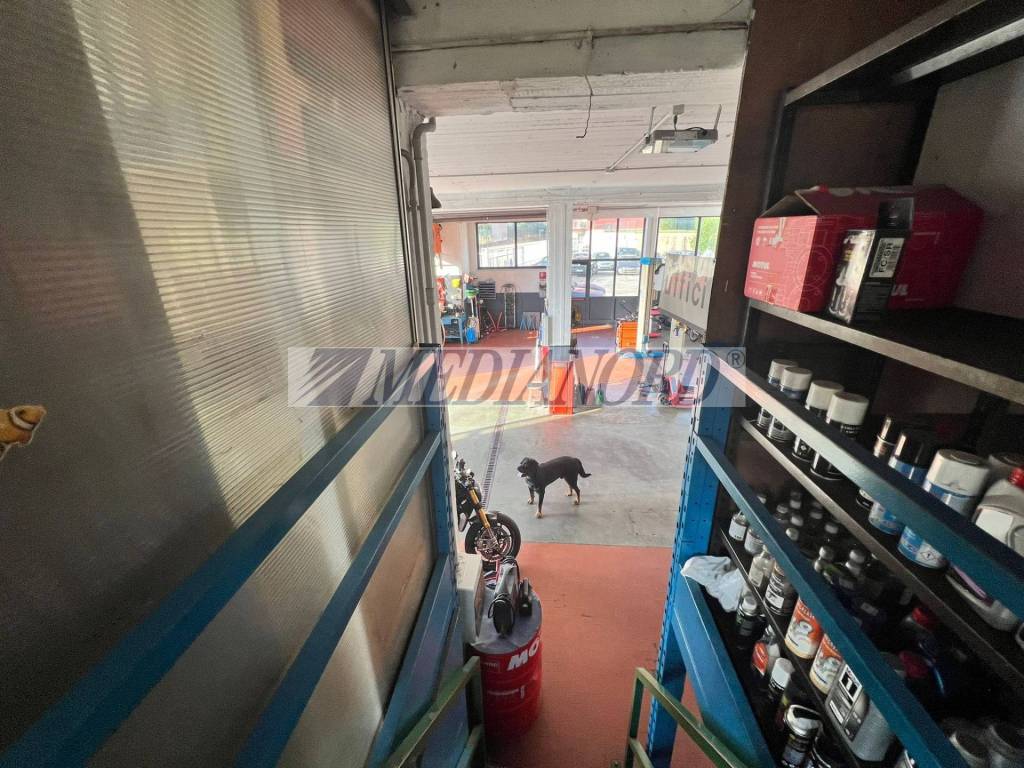 immagine annuncio 4 di 15