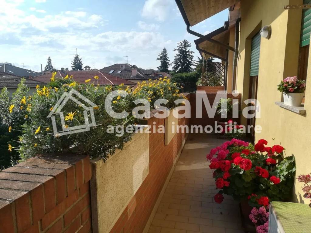 immagine annuncio 4 di 15