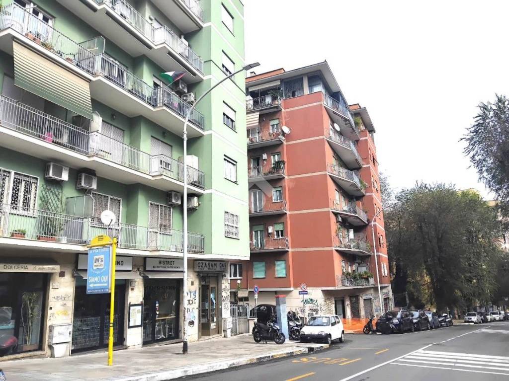 immagine annuncio 1 di 14