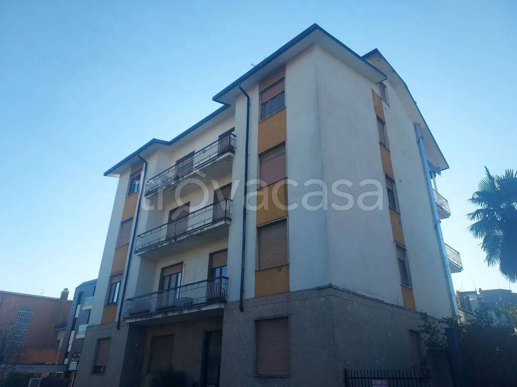 immagine annuncio 12 di 15